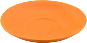Orange Porcelain Coffee Cup Saucer 10504185