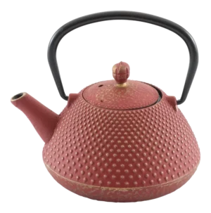 Japanese Kettle With Cast Iron Strainer 0.5 Liter***10630121