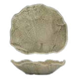 Porcelain Bowl 18 Cm Gyoza Herbal Green Nri18Ck855A45